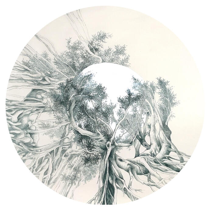 Ficus- Lunae lumen 2023