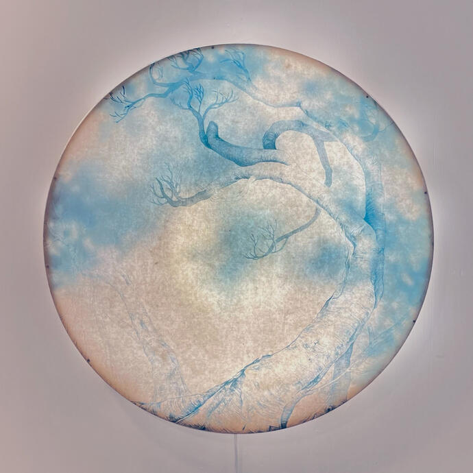 Ficus- Oriens 2023